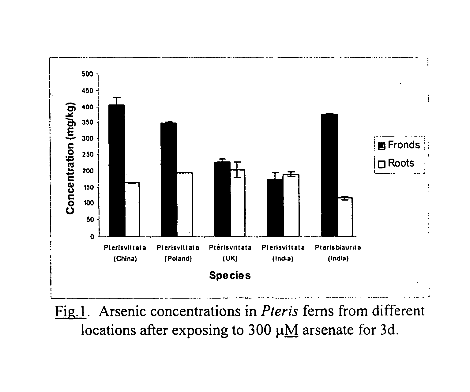 Contaminant removal by additional ferns