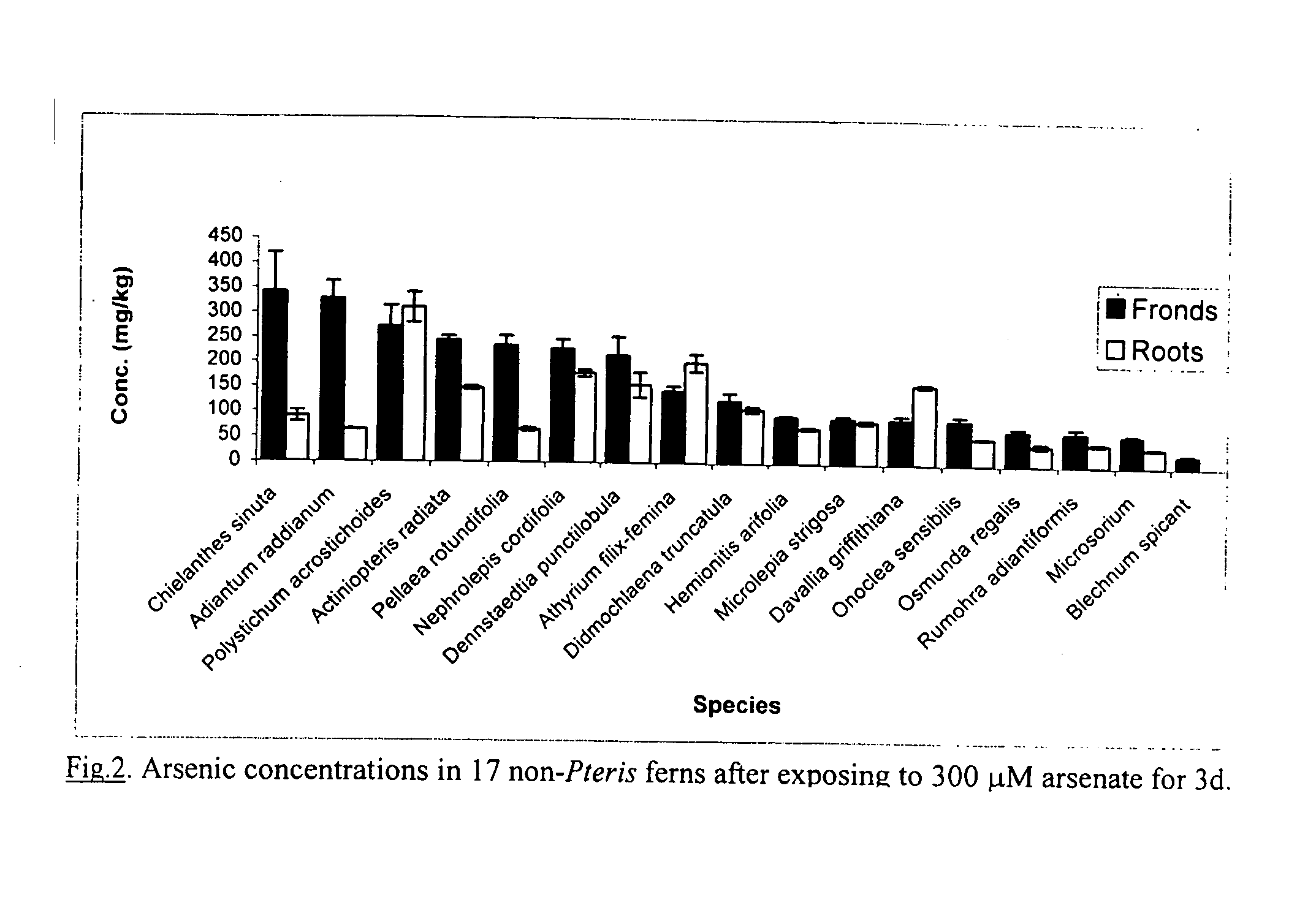 Contaminant removal by additional ferns