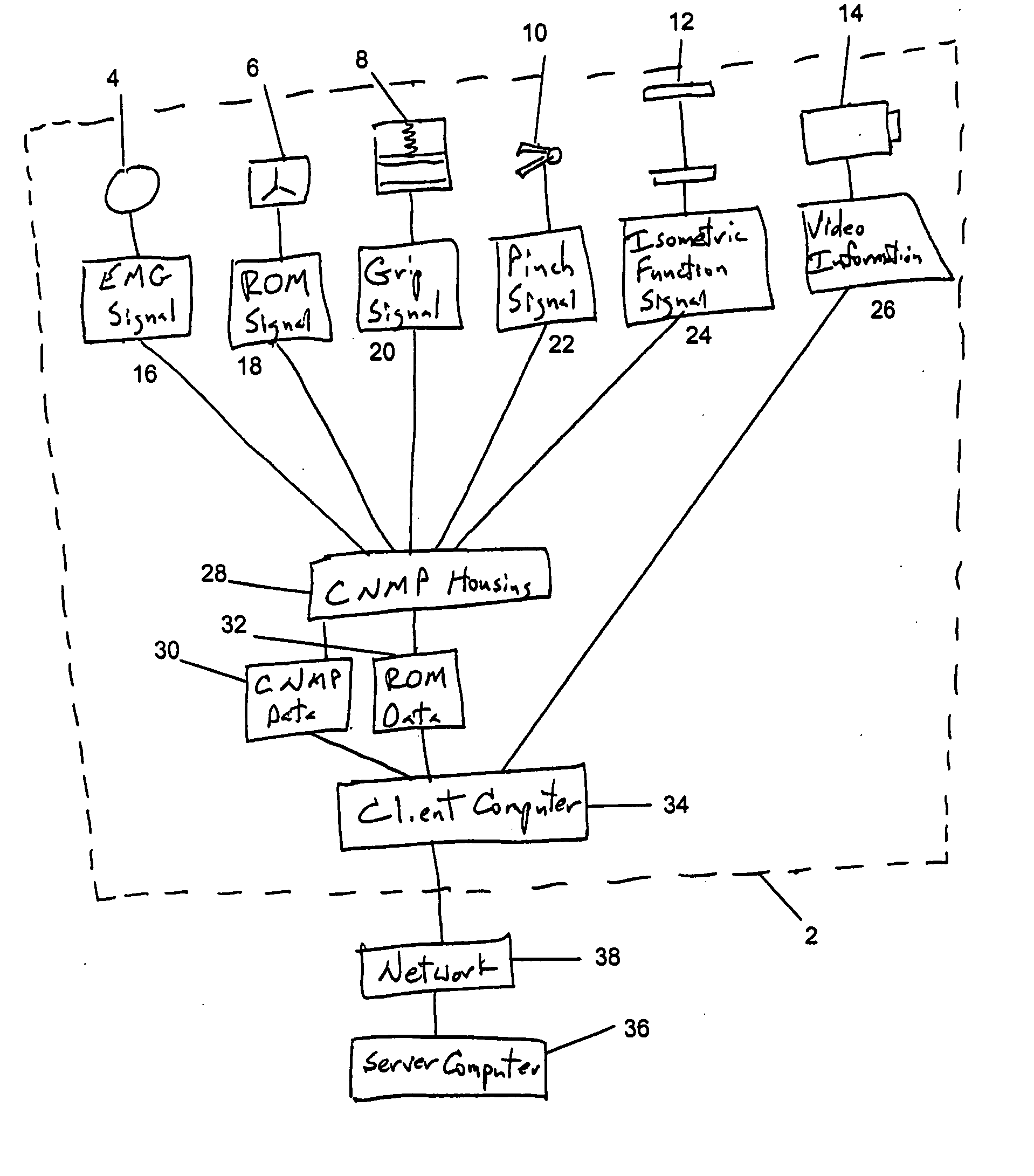 Comprehensive neuromuscular profiler