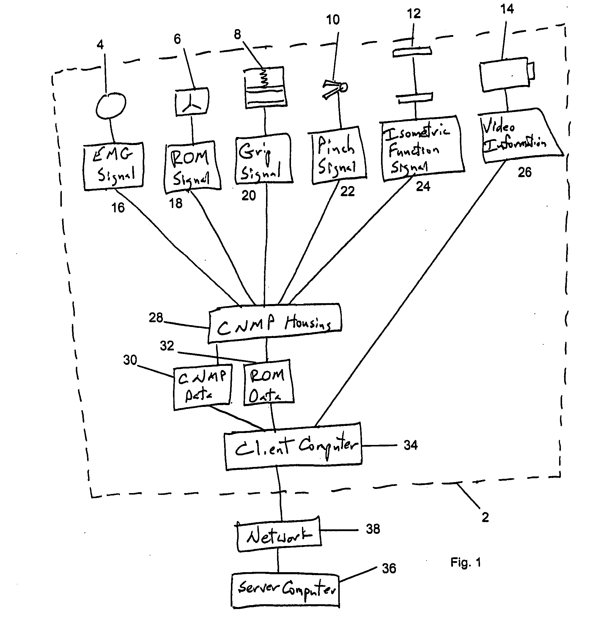 Comprehensive neuromuscular profiler