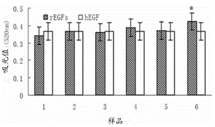 Mutant human epidermal growth factor gene, protein, preparation methods for mutant human epidermal growth factor gene and protein, and application of mutant human epidermal growth factor gene and protein