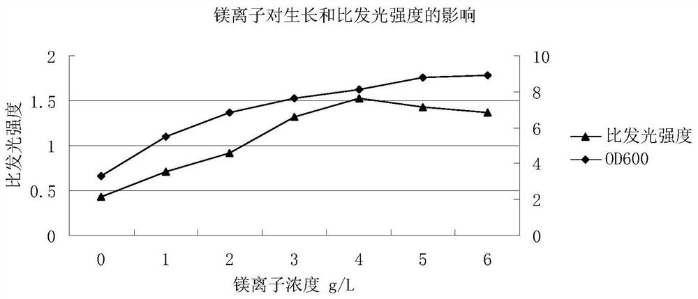 Photobacterium phosphoreum growth promoter used for monitoring water body pollutants and application of photobacterium phosphoreum growth promoter