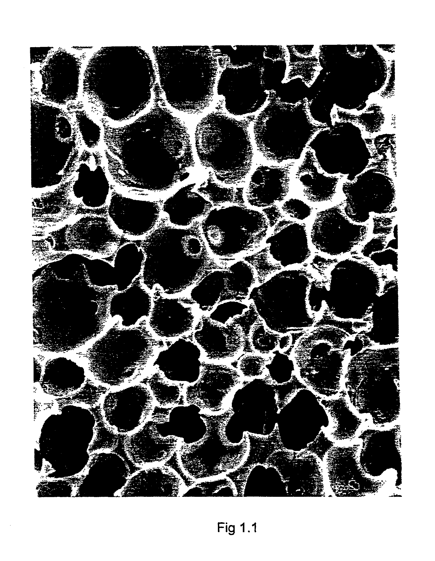 Tissue engineering scaffold