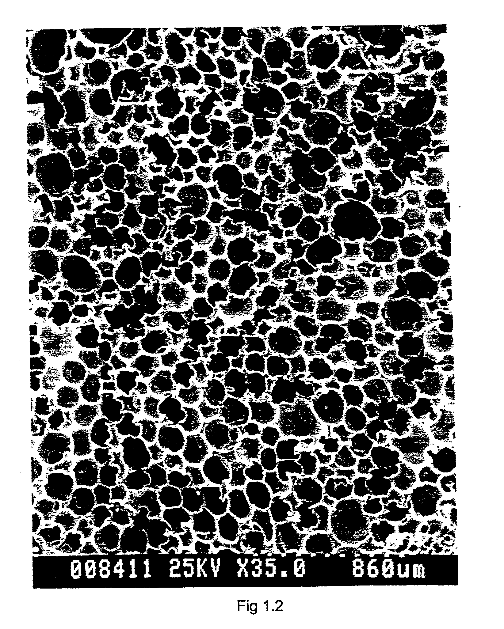 Tissue engineering scaffold