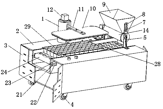 Automatic seedling raising device for spherical vegetable seeds