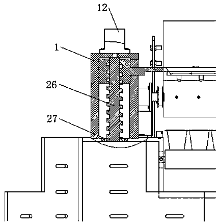 Automatic seedling raising device for spherical vegetable seeds