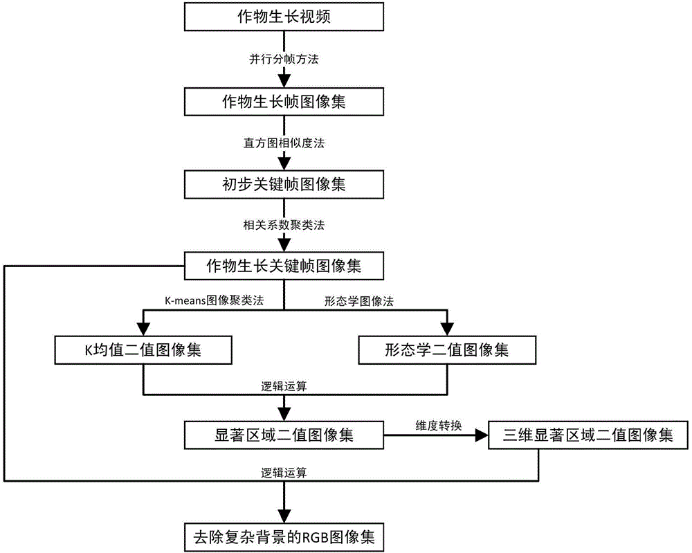 Crop leaf abnormal image extraction method based on video monitoring