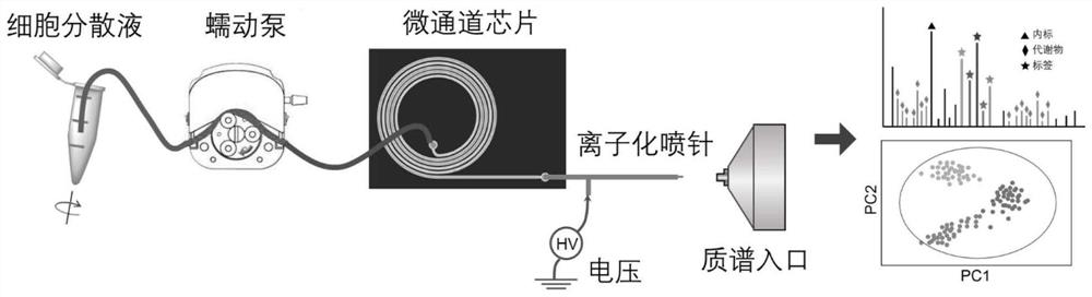 Organic mass spectrum flow cytometry technology