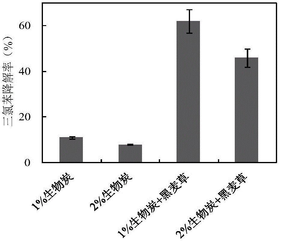 Biological carbon-plant joint repairing method of chlorobenzene volatile organic compound-contaminated soil