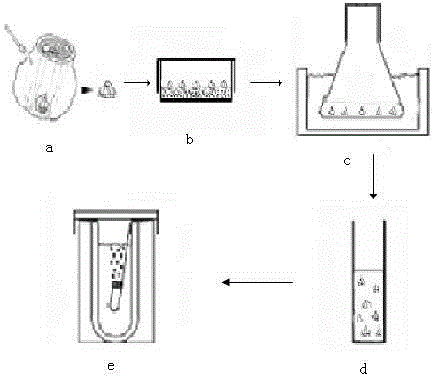 Cryopreservation and plant regeneration method of vegetative propagation flower narcissus