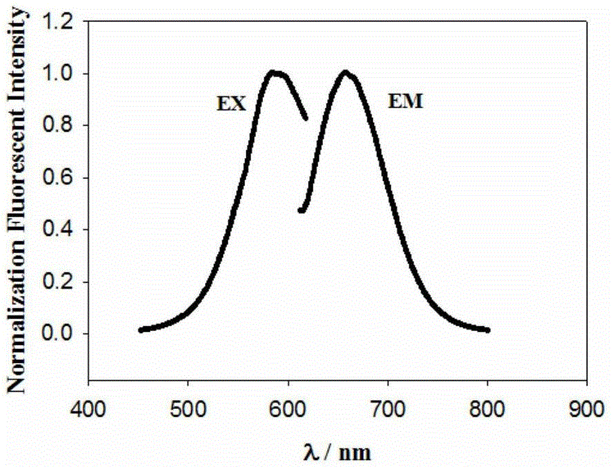 Method and kit for detecting ochratoxin A