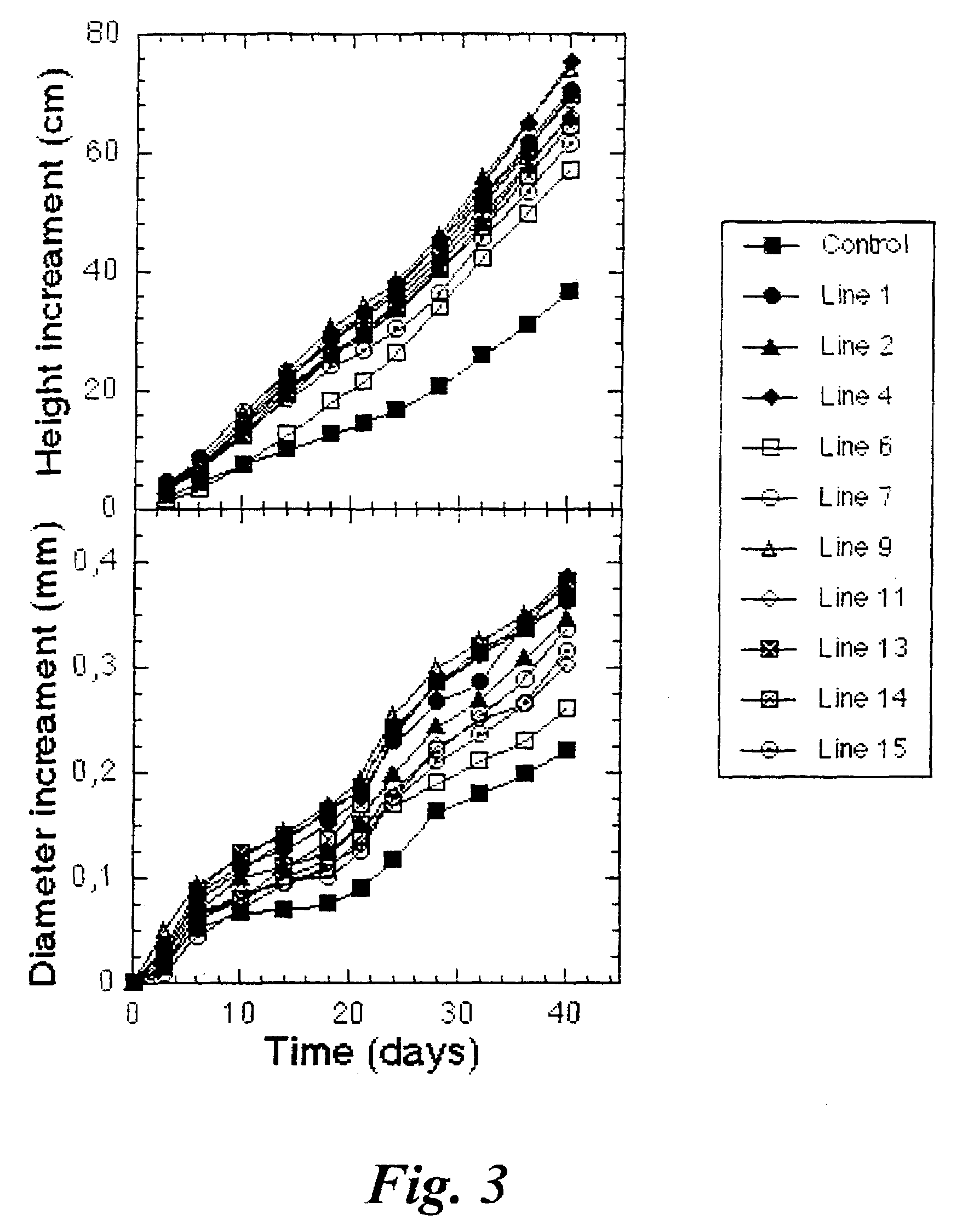 Transgenic trees exhibiting increased growth, biomass production and xylem fibre length, and methods for their production