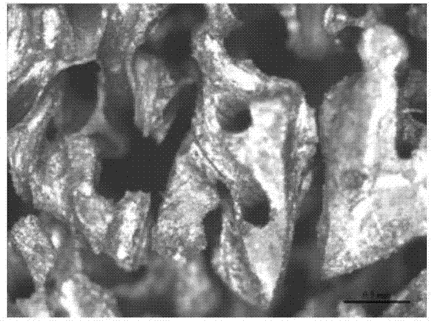 Preparation method of structure-controllable magnesium-based three-dimensional porous material