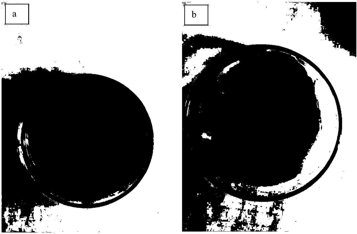 Method for increasing germination rate of Vitex negundo seeds