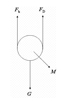 Device and method for measuring stress of coal particle in concentrated phase gas-solid fluidized bed