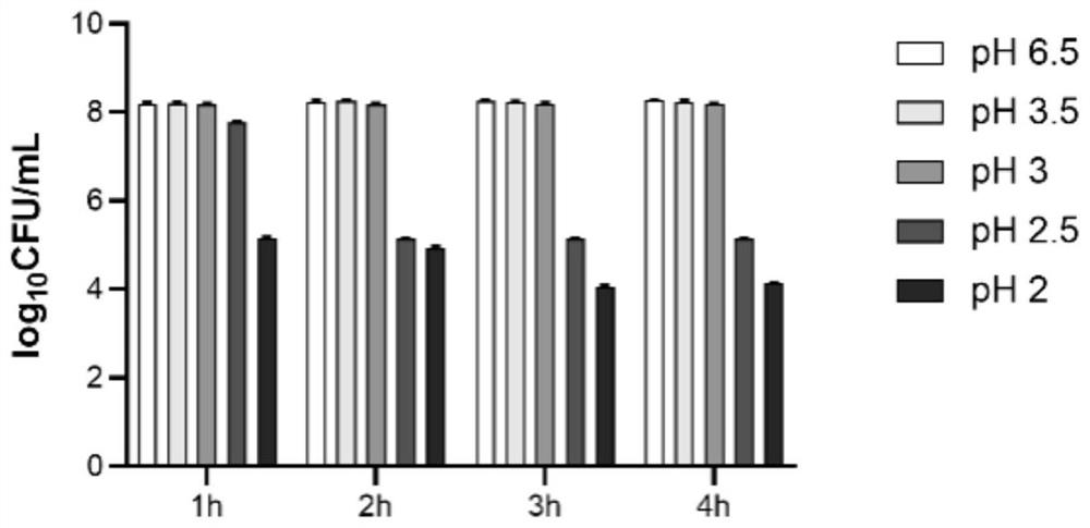 Probiotic agent PAPCH for preventing and treating helicobacter pylori infection and preparation method of probiotic agent PAPCH