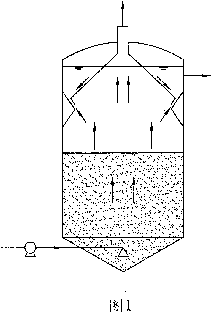 Upflow type anaerobic reactor