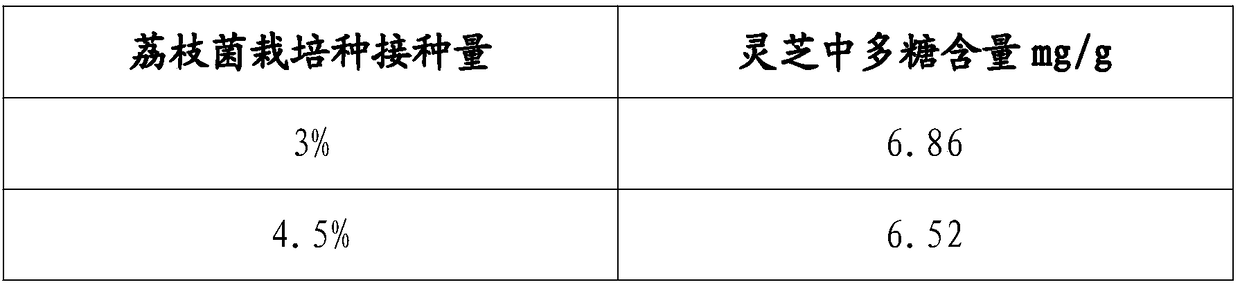 Ganoderma-lucidum-intercropping cultivation method for litchi chinensis bacteria