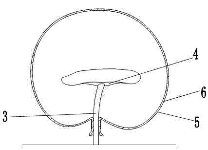 Ganoderma spore powder acquisition method and acquisition bag thereof