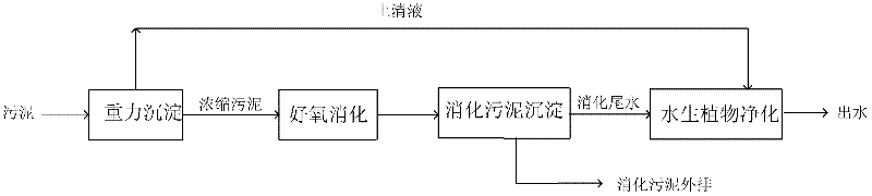 A sewage treatment plant sludge treatment process and system