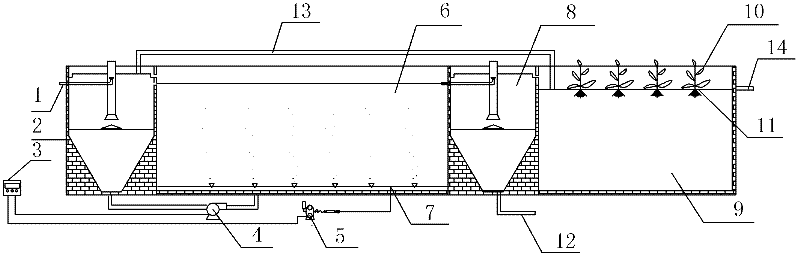 A sewage treatment plant sludge treatment process and system