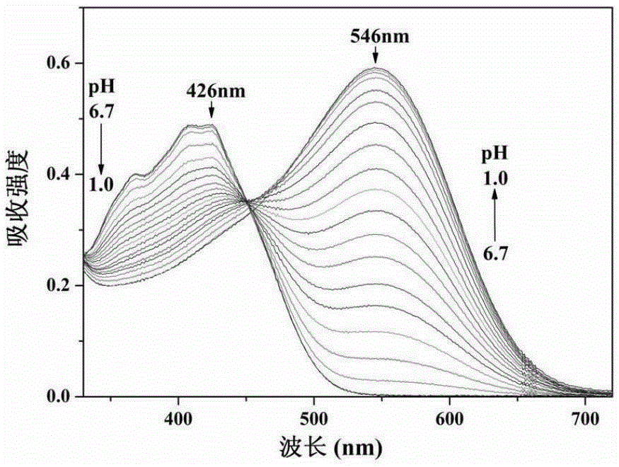 A kind of extremely acidic pH fluorescent probe and its preparation method and application