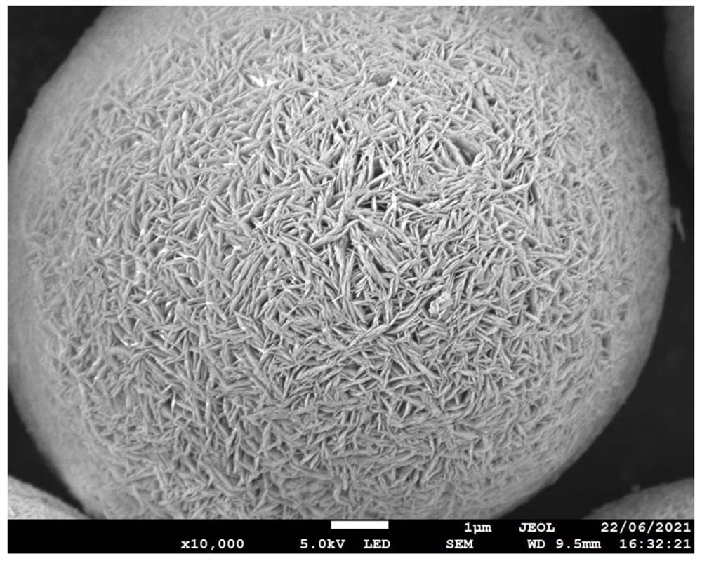 Nickel-cobalt-manganese ternary positive electrode material precursor with double-gradient structure, preparation method thereof and ternary positive electrode material