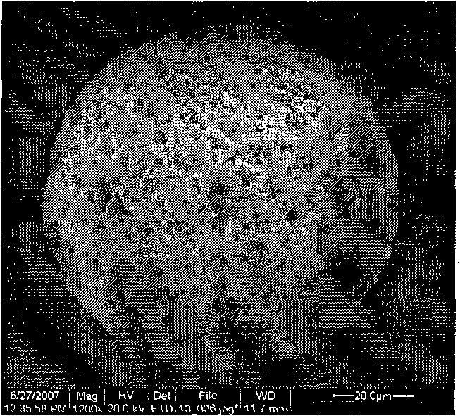 Method for preparing nucleocapsid type microgel composite microsphere using polymeric surfactant