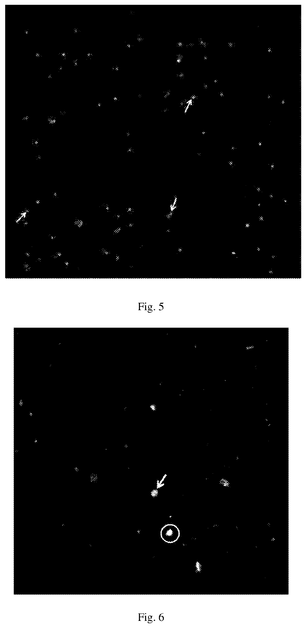 Marker of fetal trophoblast cell, identification method, detection kit and use thereof