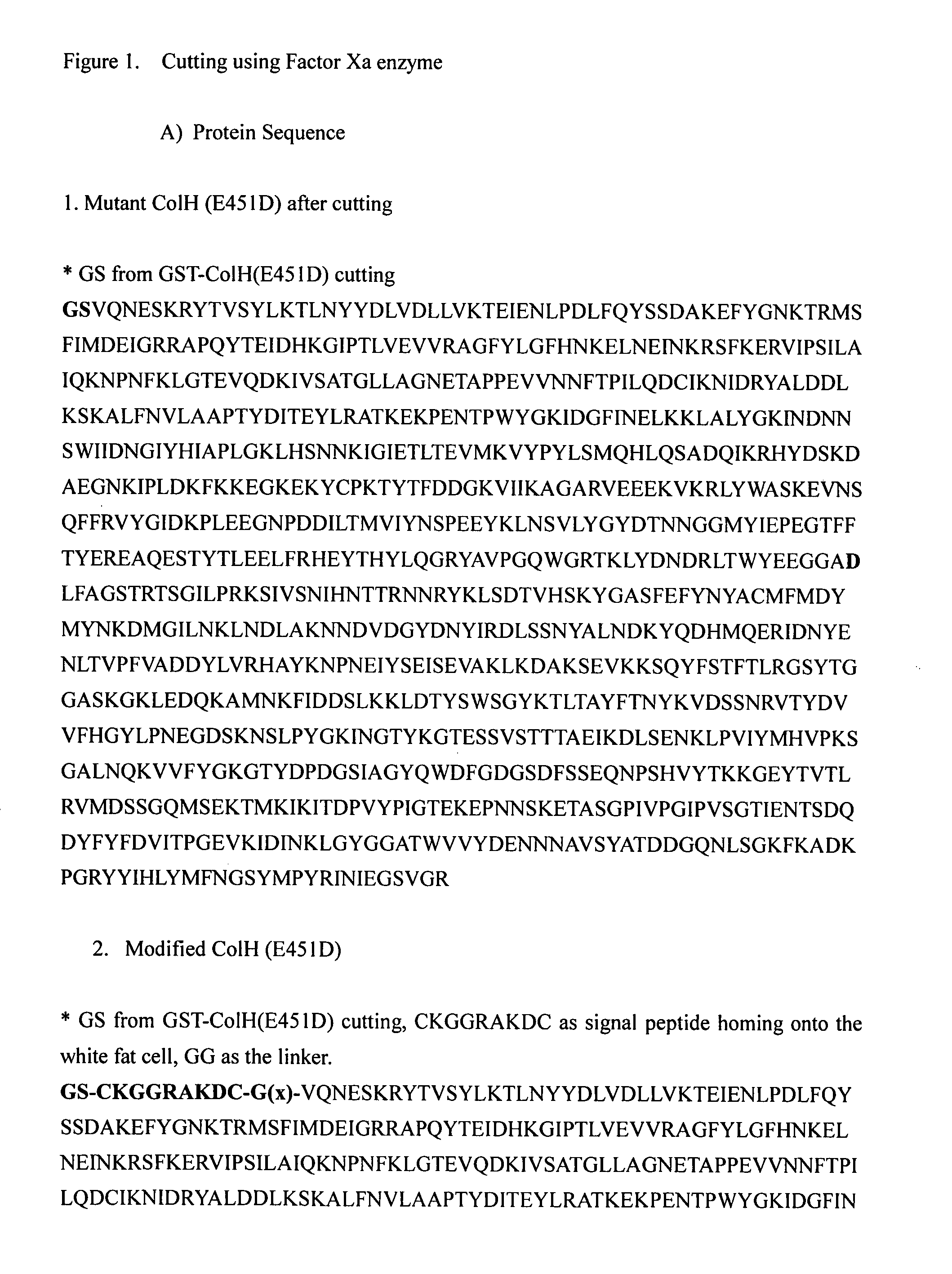 Modified mutant collagenase and it's use in fat melting and in scar reduction