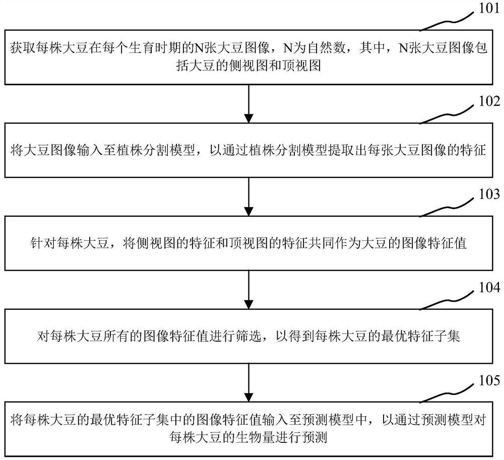 Nondestructive measurement method for biomass in whole growth period of soybeans