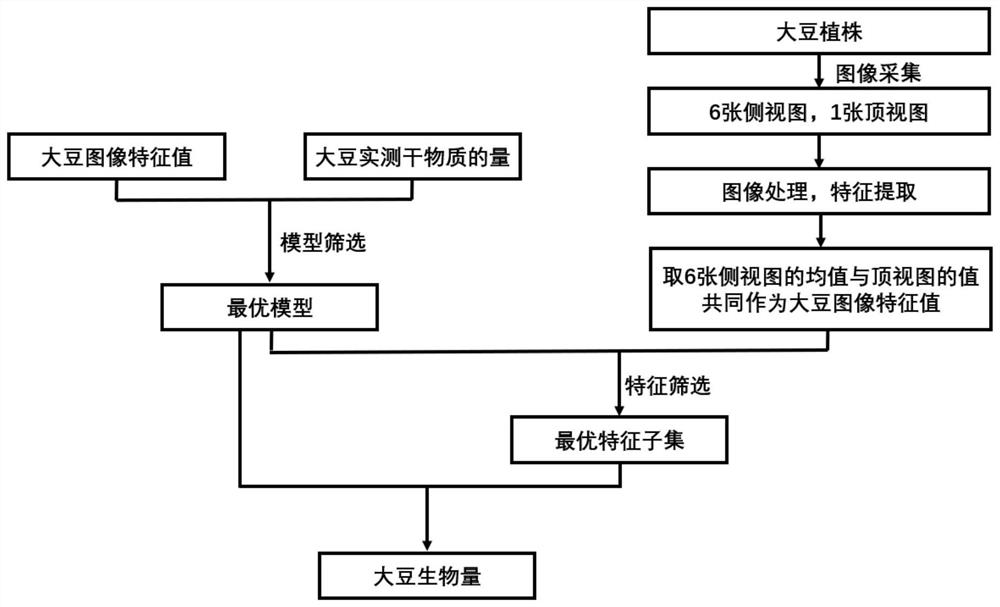 Nondestructive measurement method for biomass in whole growth period of soybeans