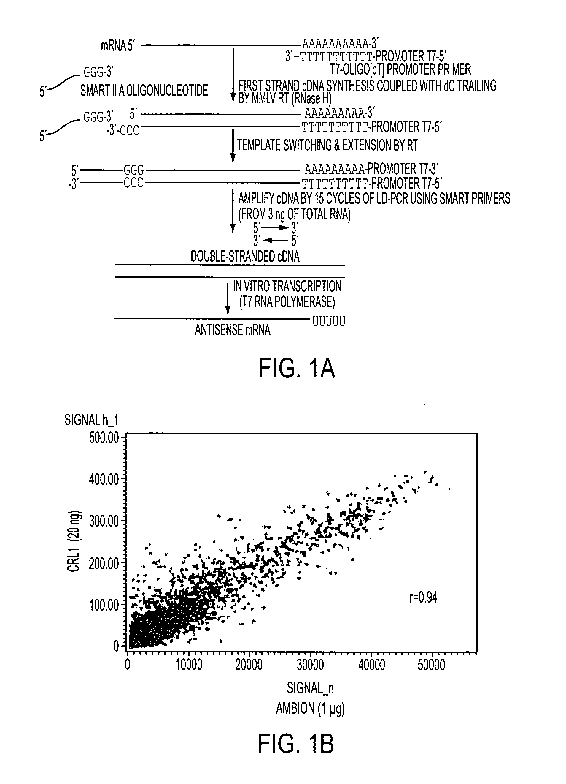 Human transcriptome corresponding to human oocytes and use of said genes or the corresponding polypeptides to trans-differentiate somatic cells