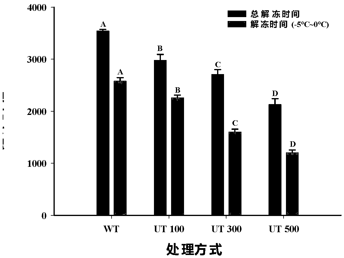 Method for ultrasonically assisting thawing of cyprinoids