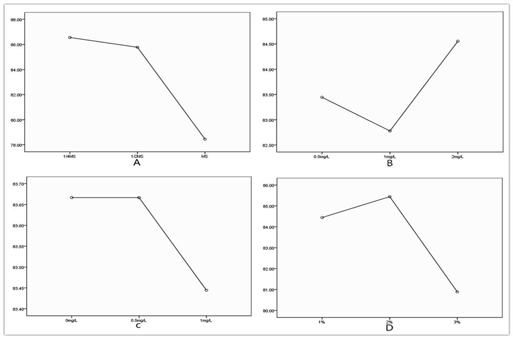 A kind of method and germination agent for promoting direct seeding germination of bletilla striata seeds