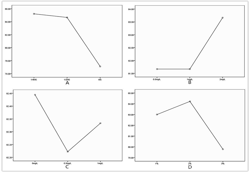 A kind of method and germination agent for promoting direct seeding germination of bletilla striata seeds