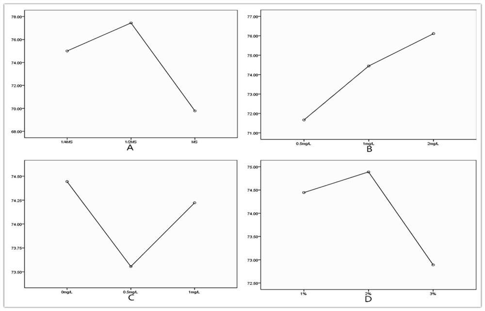 A kind of method and germination agent for promoting direct seeding germination of bletilla striata seeds