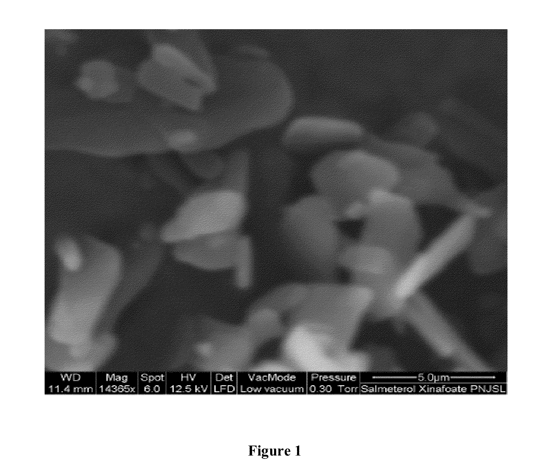 Dry powder inhalation composition