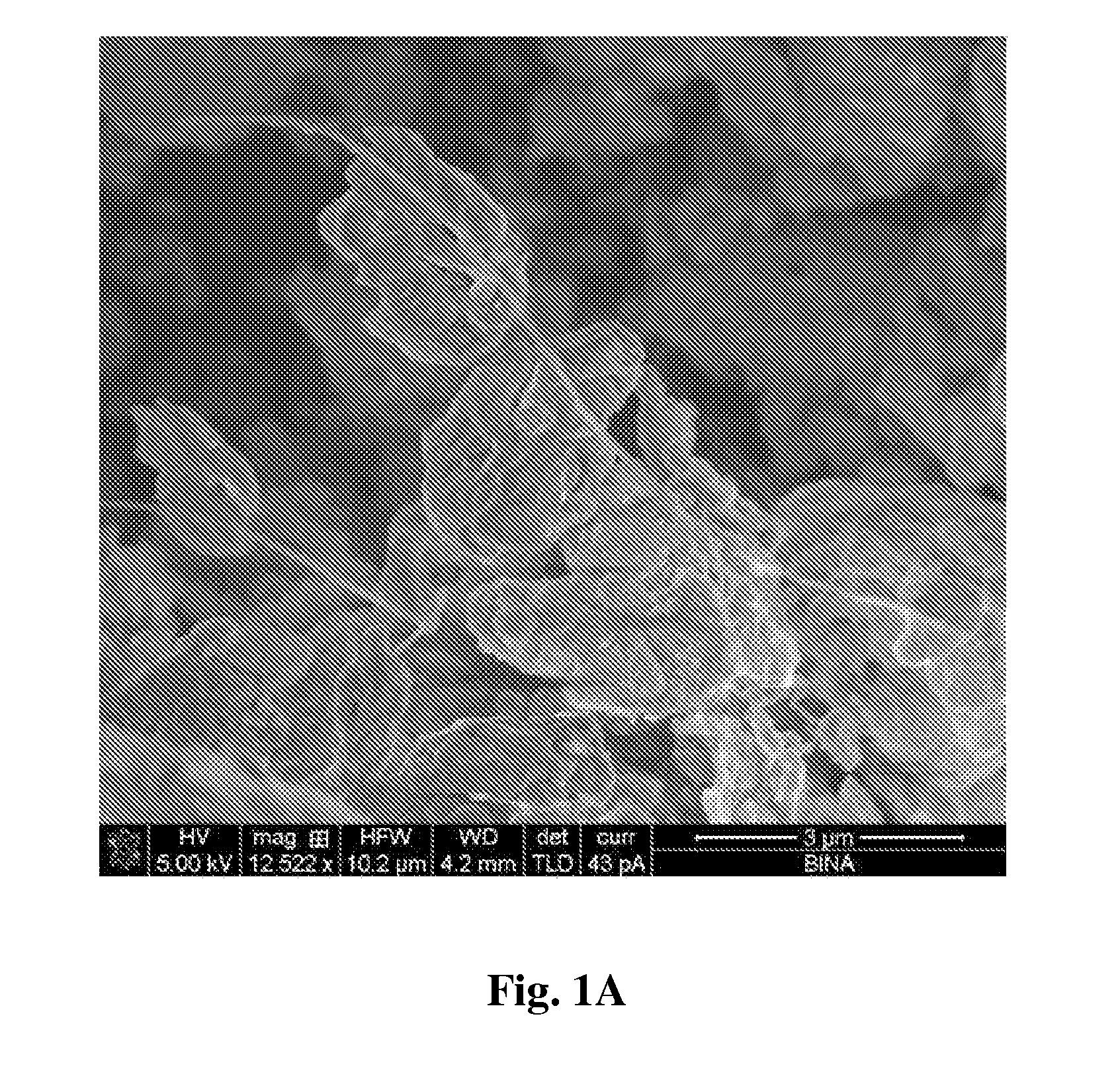 Functionalized carbon nanotube composite