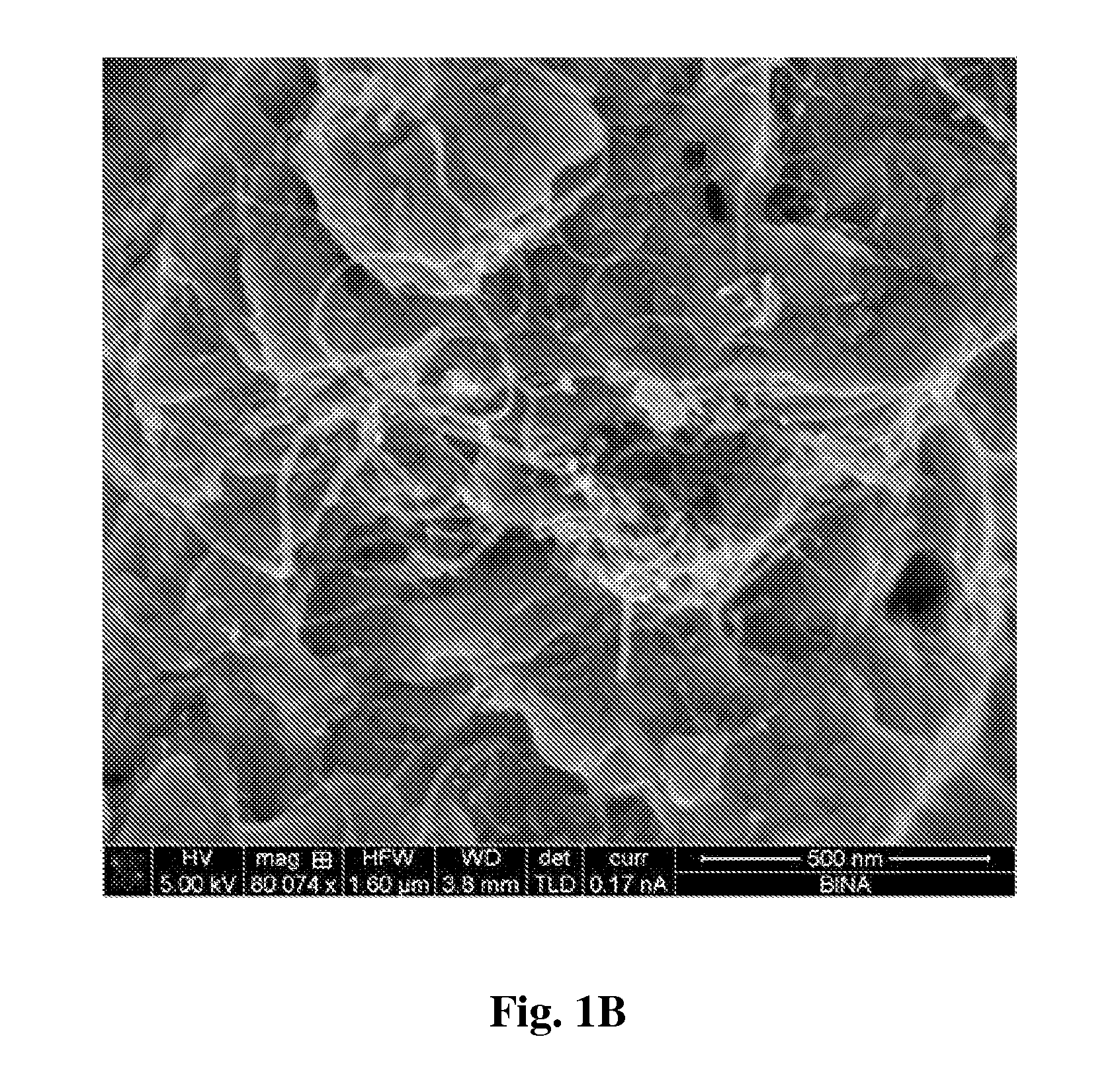 Functionalized carbon nanotube composite