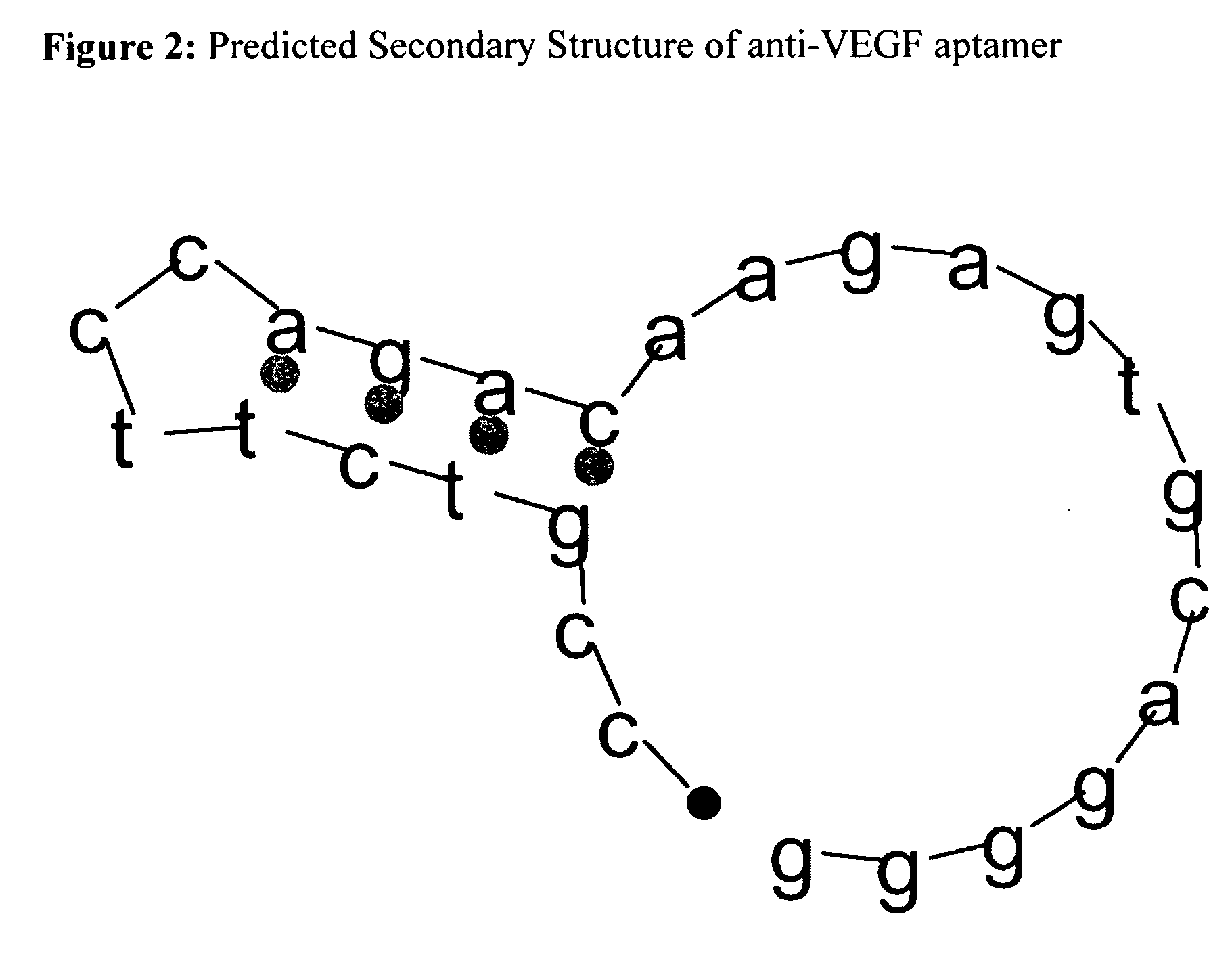 Introduction of structural affinity handles as a tool in selective nucleic acid separations