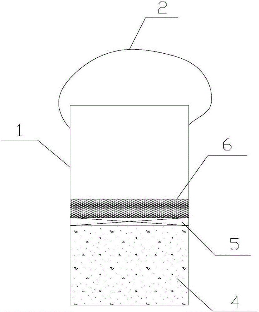 Method for trapping and monitoring Chinese chive maggot larvae