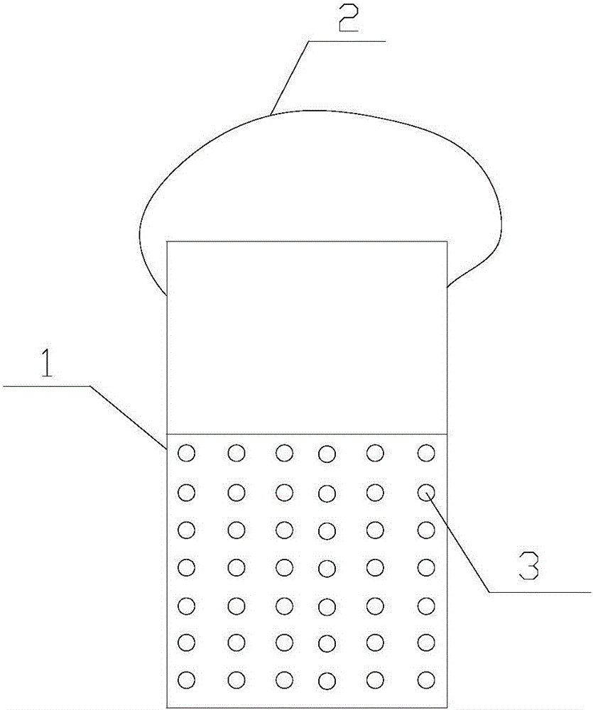 Method for trapping and monitoring Chinese chive maggot larvae