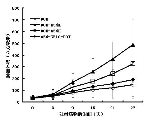 A54-GFLG-DOX conjugate as well as coupling method and application thereof