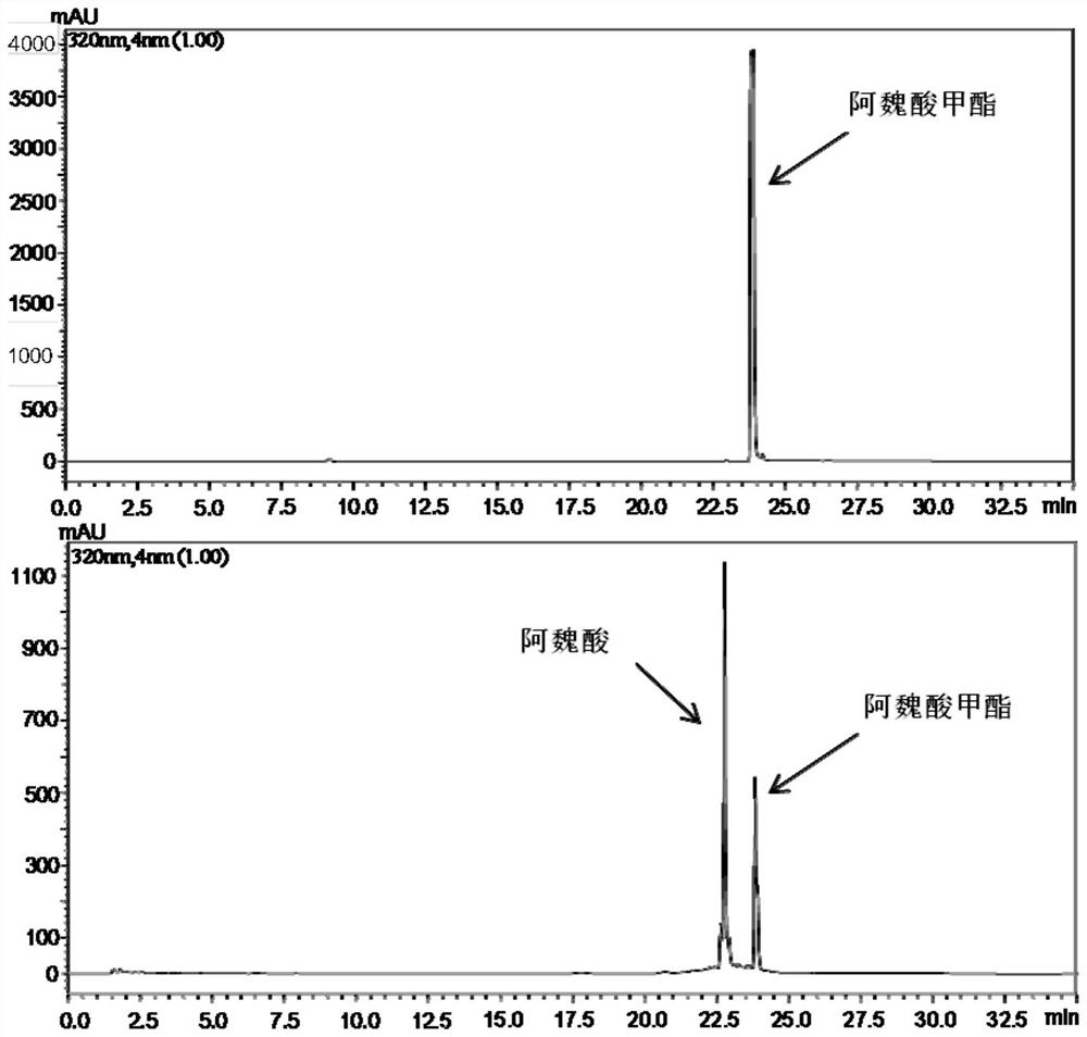 A kind of ferulic acid esterase and its preparation method and application