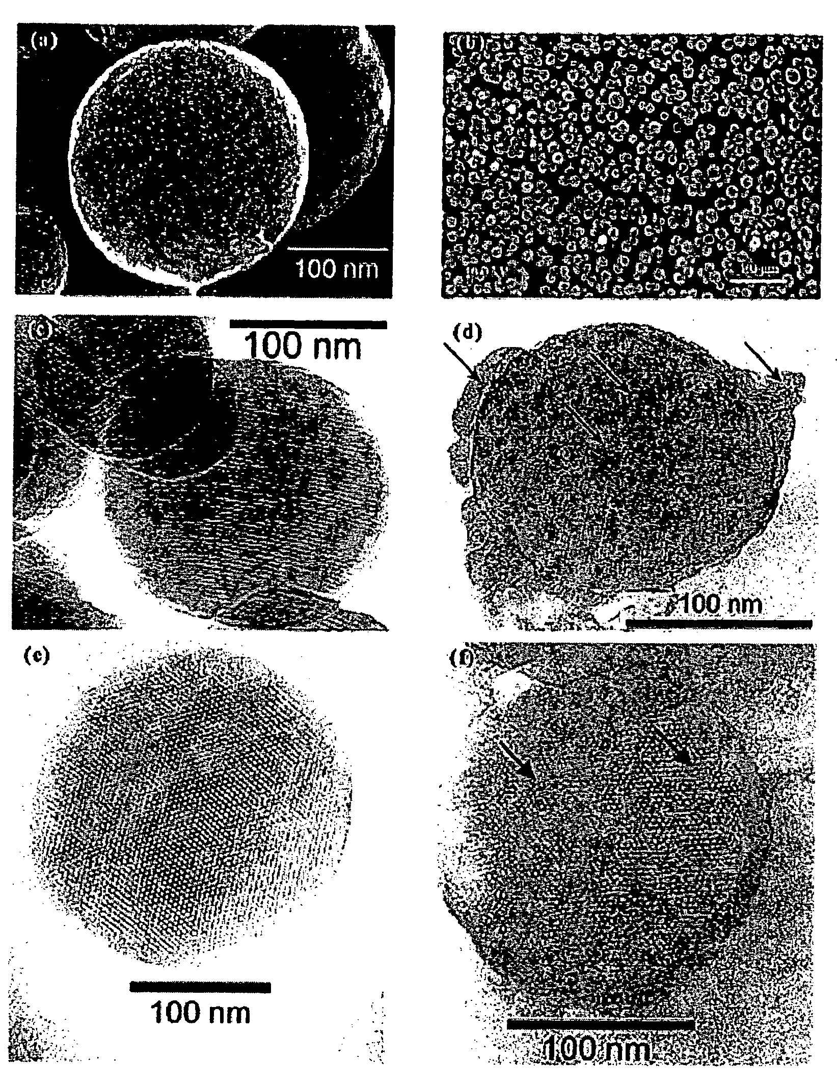 Capped mesoporous silicates