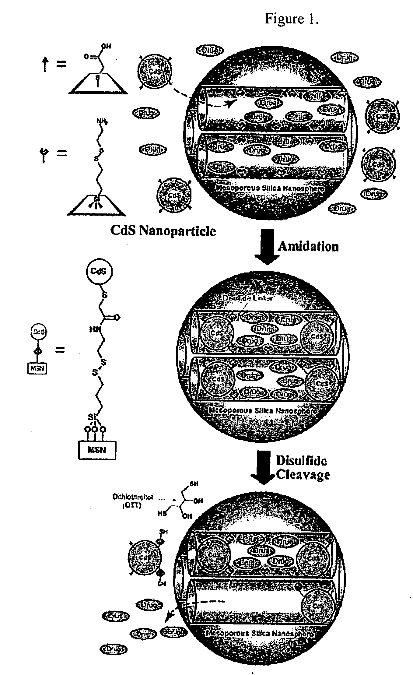 Capped mesoporous silicates