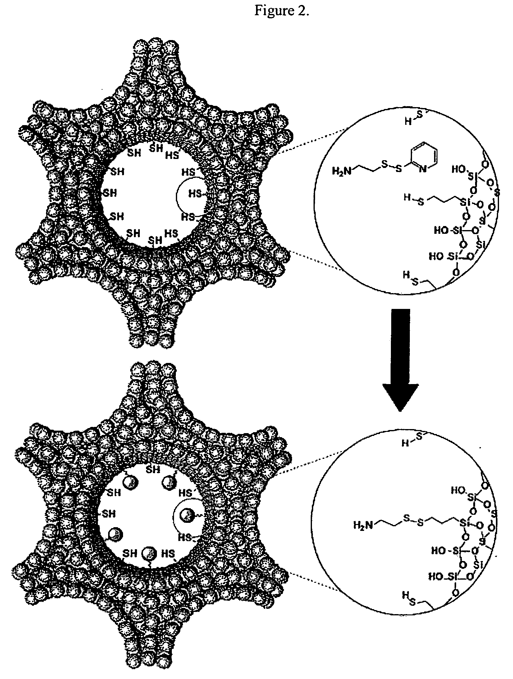 Capped mesoporous silicates