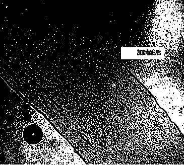 Improved qualitative and quantitative analysis method of modified polyacrylonitrile fiber