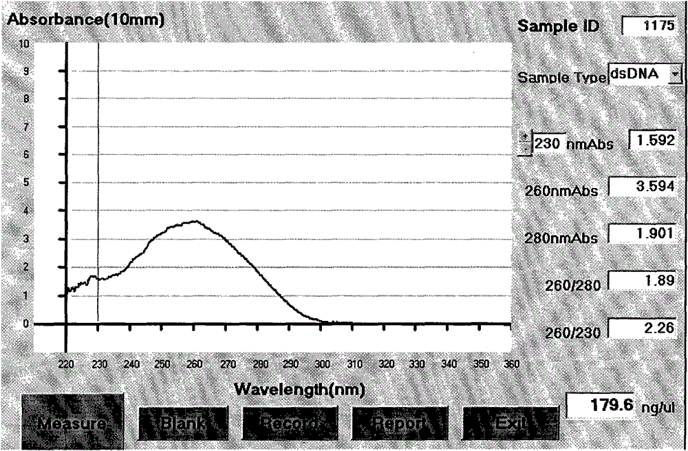 Detection method and kit of single nucleotide polymorphism locus rs7550536 of susceptibility gene of hypertension